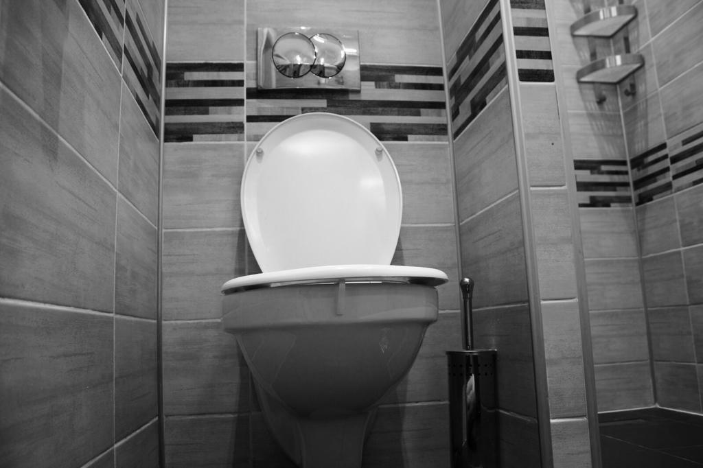 Apartament Central Cismigiu Bukareszt Zewnętrze zdjęcie