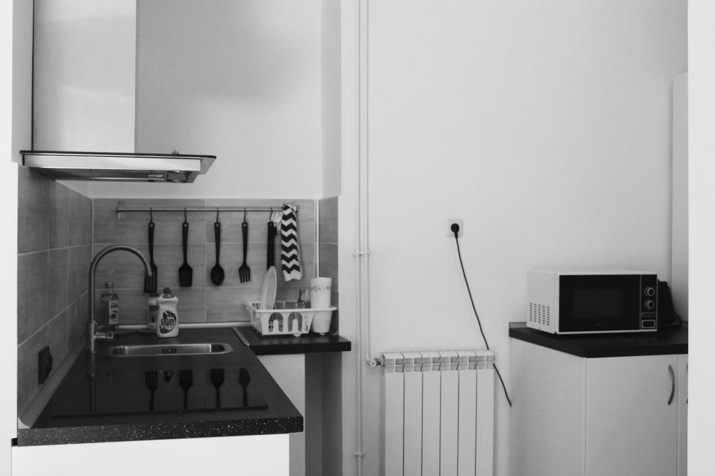 Apartament Central Cismigiu Bukareszt Zewnętrze zdjęcie